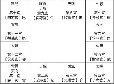 紫微斗數 身體部位